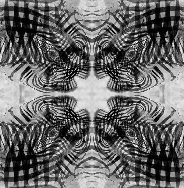 Jaynes Gallery 아티스트의 Black and white kaleidoscope abstract of a zebra작품입니다.